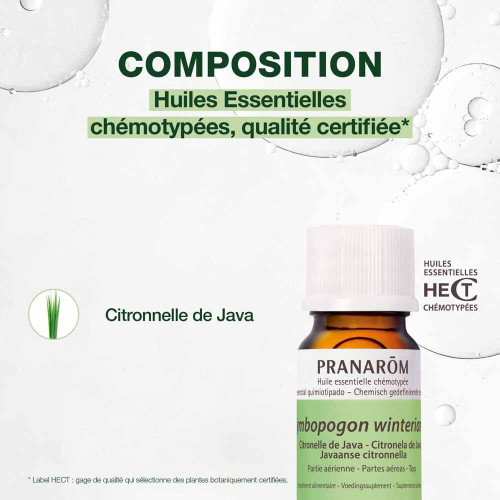 Huile Essentielle Citronnelle de Java (Cymbopogon winterianus) 10 ml