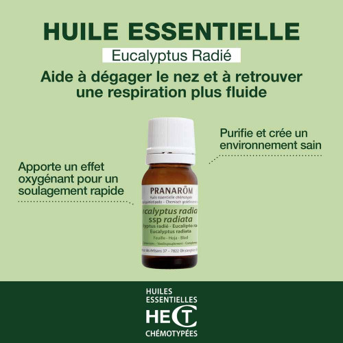 Huile Essentielle Eucalyptus Radié (Eucalyptus radiata) 10 ml