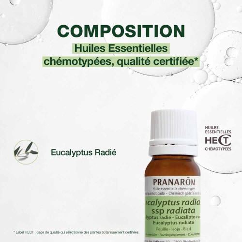 Huile Essentielle Eucalyptus Radié (Eucalyptus radiata) 10 ml