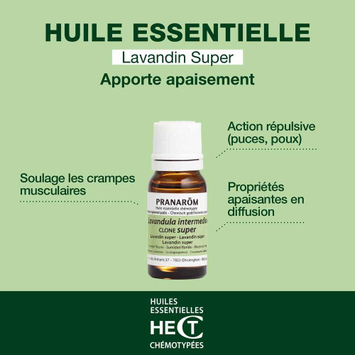 Huile Essentielle Lavandin Super (Lavandula intermedia clone super) 10 ml