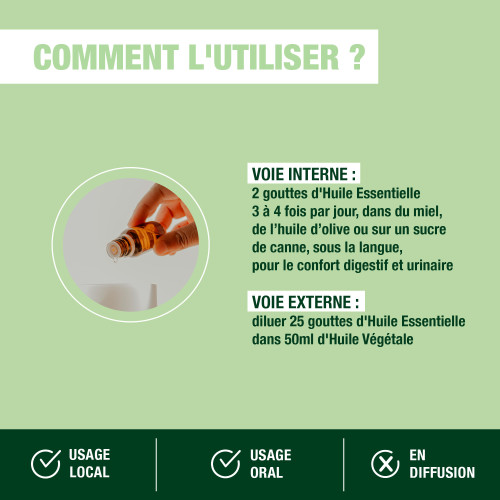 Huile Essentielle Menthe Poivrée (Mentha x piperita) 10 ml