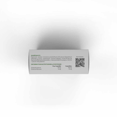 ARKOPHARMA Activox Pastilles Menthe Eucalyptus 24 - Adoucit la gorge