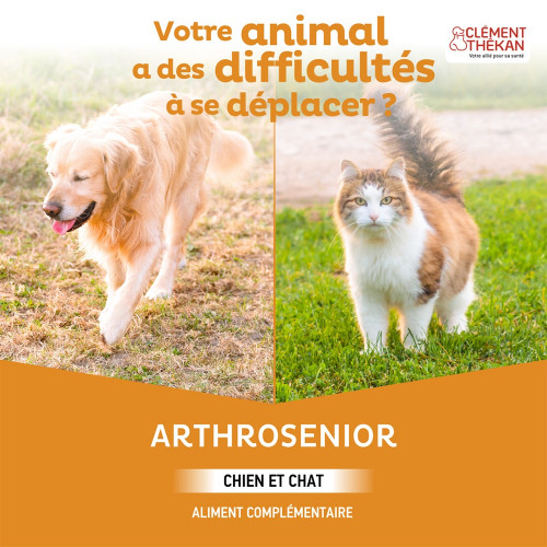 Clement Thekan Arthrosenior 60 Comprimés - Soutien Articulaire Chien