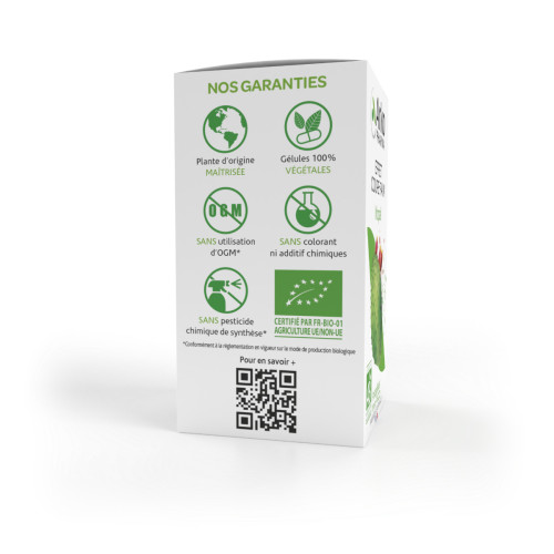 Arkopharma Arkogélules Nopal Bio 45 - Satiété et Contrôle Calorique