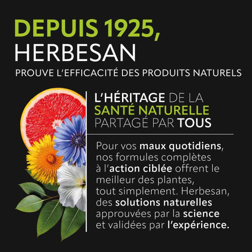 HERBESAN Transiphyt Bio 20 Sachets - Confort Digestif