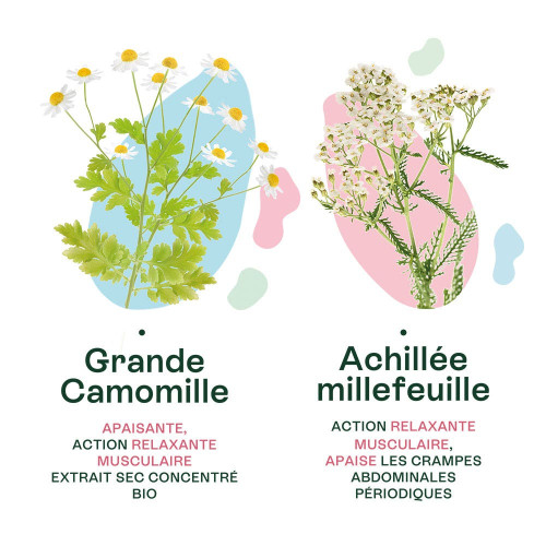 Naturactive Règles Douloureuses Bio 30 Gélules - Soulagement Naturel
