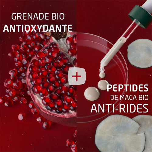 Weleda Grenade Maca Crème Jour 40ml - Raffermit et Hydrate