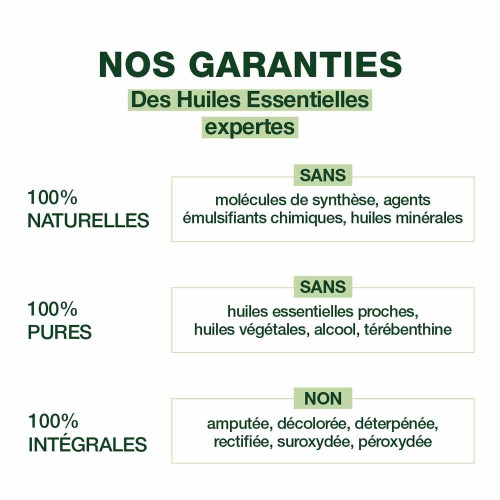 Pranarôm Digest Transit 10 Sachets - Confort Intestinal Bio chez