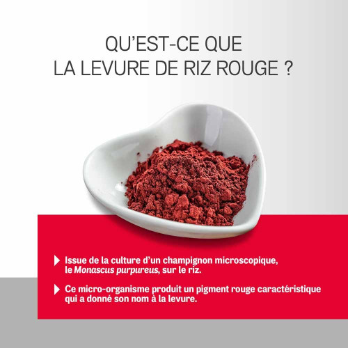 Levure de Riz Rouge 2,9 mg, 90 Comprimés
