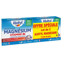 Magnésium Vitamine B6 2 x 45 comprimés