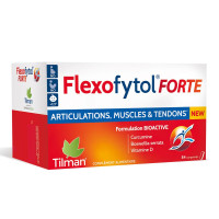 Flexofytol Forte 84 Comprimés
