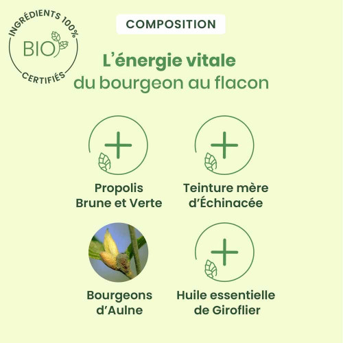 HerbalGem Propolis Large Spectre 15 ml Immunité Renforcée Bio