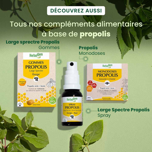 HerbalGem Propolis Large Spectre 15 ml Immunité Renforcée Bio