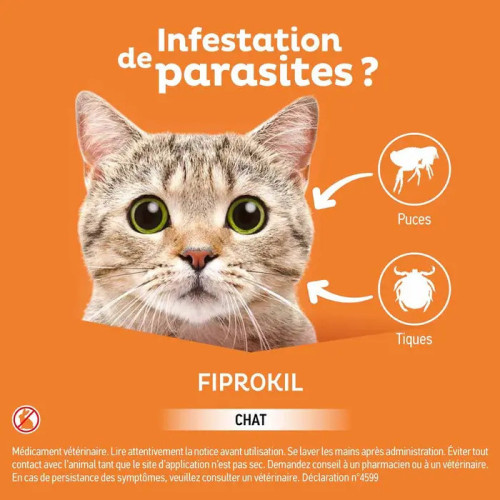 CLEMENT THEKAN Fiprokil Chat 2 pipettes Protection Puces Tiques