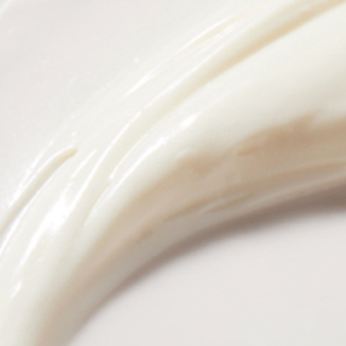 NUXE Rêve de Miel Crème Mains 50ml - Nourrit Répare