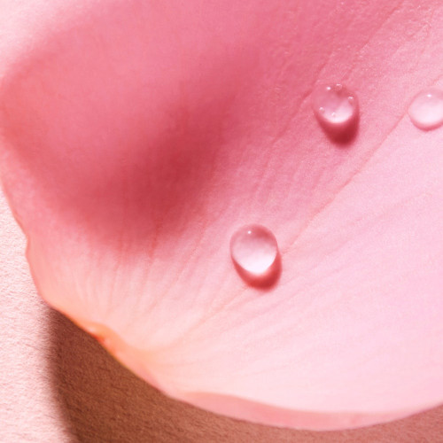 Very rose Eau Voluptueuse Parfumante 100 ml