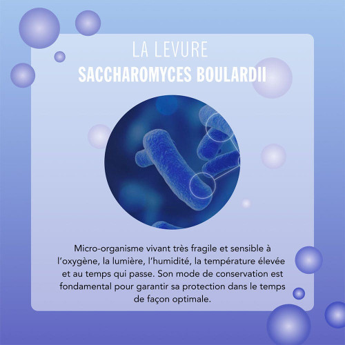 ARKOPHARMA Arkolevure 250mg 30 Gélules - Soutien Digestif