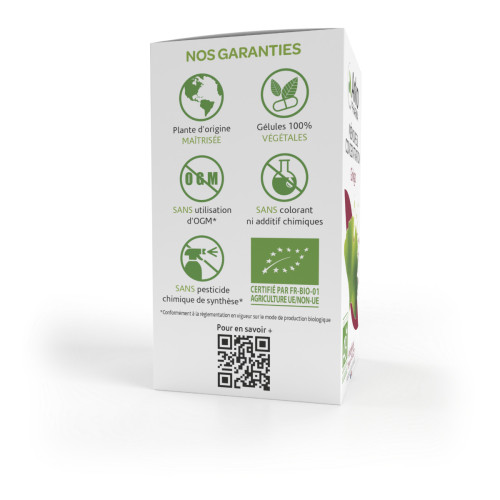 Arkopharma Arkogélules Ginkgo 150 Gélules - Boost Mémoire