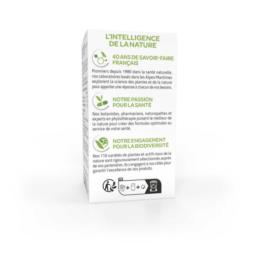 Arkopharma Arkogélules Ginkgo 45 Gélules - Boost Mémoire