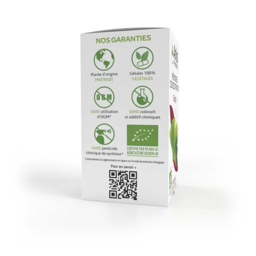 Arkopharma Arkogélules Ginkgo 45 Gélules - Boost Mémoire