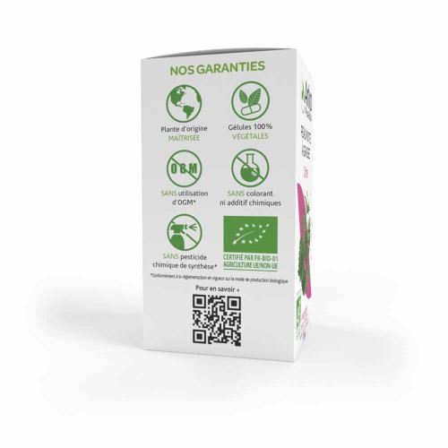Arkopharma Ortie Bio 45 Gélules pour Peau Nette et Saine