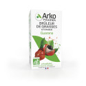 Arkopharma Arkogélules Guarana Bio 40 Gélules - Boost Energie