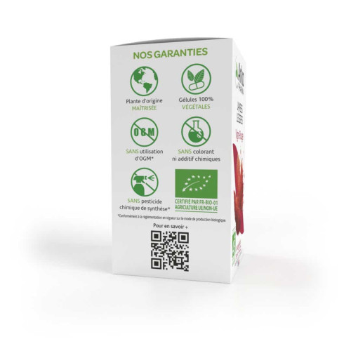 Arkopharma Vigne Rouge Bio 45 - Soulage Jambes Lourdes, 100% Végan