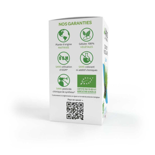 Arkopharma Arkogélules Cassis Bio 45 Gélules - Santé Articulaire