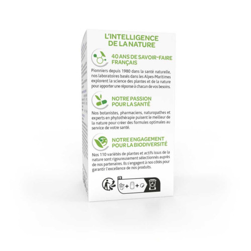 Arkopharma Arkogélules Gingembre 40 Gélules