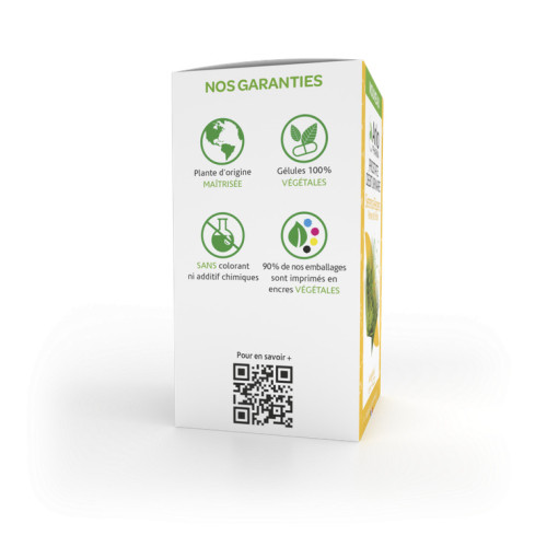 ARKOGÉLULES Serenoa Repens Palmier de Floride Prostate Débit Urinaire 45 gélules