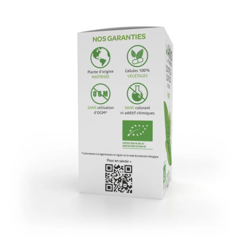 Arkopharma Arkogélules Maté Bio 60 Gélules Perte de Poids Énergie