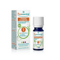 Huile Essentielle Romarin Camphre 10ml - Vitalité et Souplesse