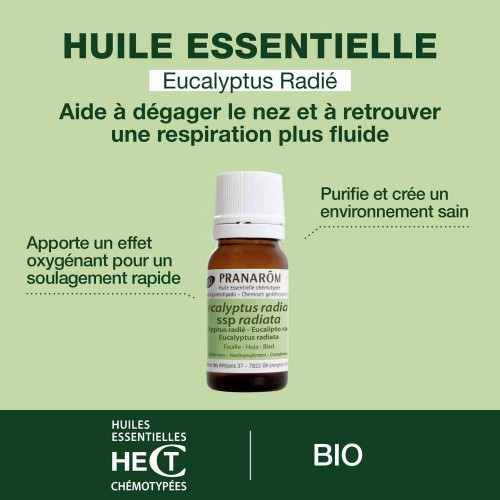 Pranarom Huile Essentielle Eucalyptus Bio 10ml - Antivirale