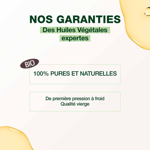 Pranarom Huile Vanille Bio 50ml - Riche en Vanilline, Naturel