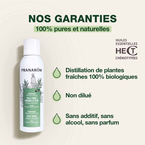 PRANAROM Hydrolat Tea Tree Bio 150ml - Assainissant Peau Grasse