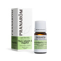 PRANAROM Huile Essentielle Thym Thujanol 5ml - Boost Immunité