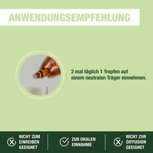 PRANAROM Huile Essentielle Thym Thujanol 5ml - Boost Immunité