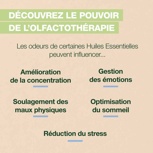 Pranarôm Roll-on Sommeil Bio 5 ml - Sommeil Réparateur Pharma360