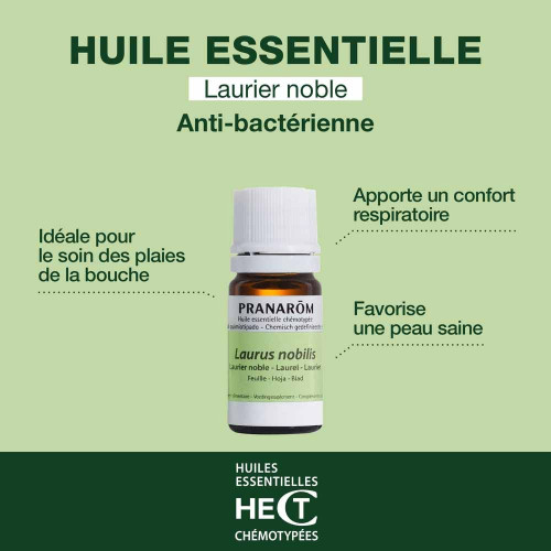 Pranarôm Huile Essentielle Laurier Noble 5ml Digestion Pharma360