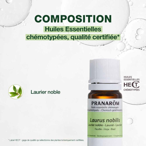 Pranarôm Huile Essentielle Laurier Noble 5ml Digestion Pharma360