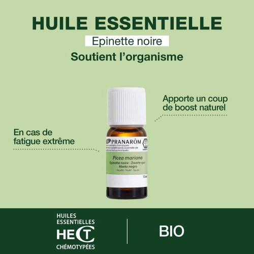 Pranarôm Huile Essentielle Épinette Noire 10ml Revitalise & Tonifie