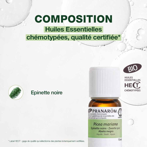 Pranarôm Huile Essentielle Épinette Noire 10ml Revitalise & Tonifie