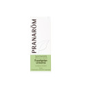 Pranarom Huile Eucalyptus Citronné 10ml Anti-inflammatoire Efficace