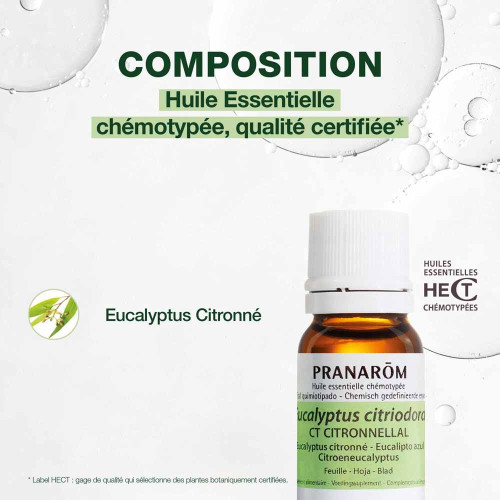 Pranarom Huile Eucalyptus Citronné 10ml Anti-inflammatoire Efficace