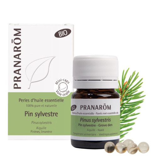 PRANAROM Perles Huile Essentielle Pin Bio 60 Parapharmacie