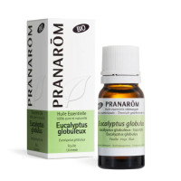 Huile Essentielle Eucalyptus globuleux 10 ml