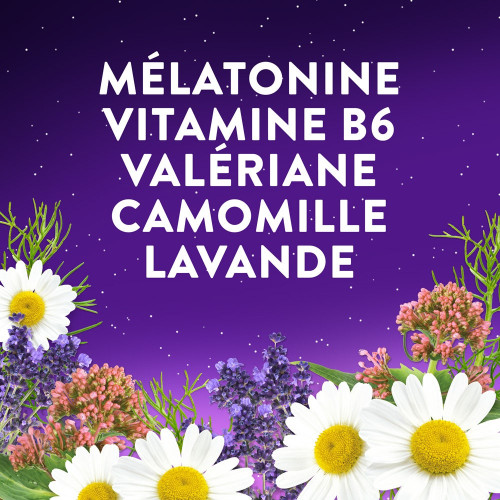 ZzzQuil Sommeil Arôme Fruits des Bois - Faible Dose 30 gummies