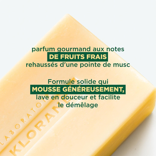 Klorane Shampooing Solide Mangue 80g - Nourrit et Protège