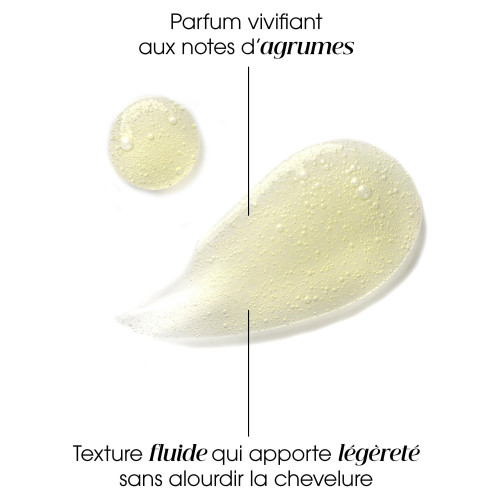 Klorane Shampoing Cédrat 400ml - Légèreté et Fraîcheur