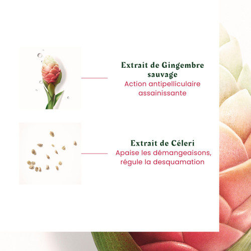 FURTERER Néopur Shampooing 150ml - Antipelliculaire Apaisant